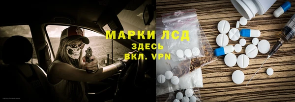 прущие грибы Карпинск