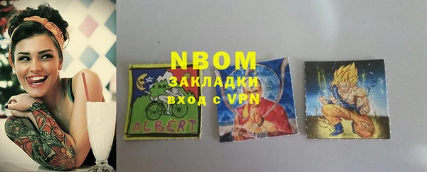 прущие грибы Карпинск