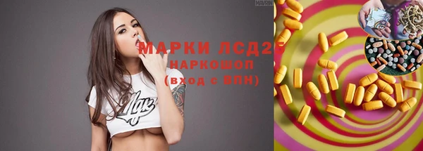 прущие грибы Карпинск