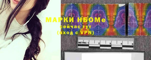 прущие грибы Карпинск